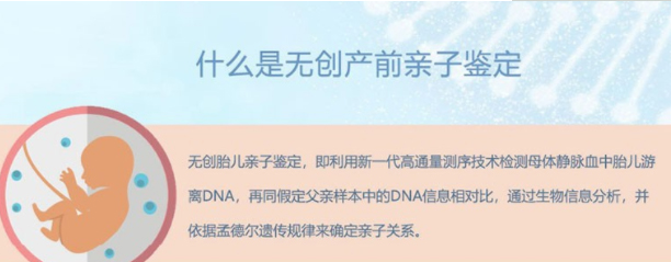 怀孕几个月南宁需要怎么办理胎儿亲子鉴定,南宁办理孕期亲子鉴定结果准吗